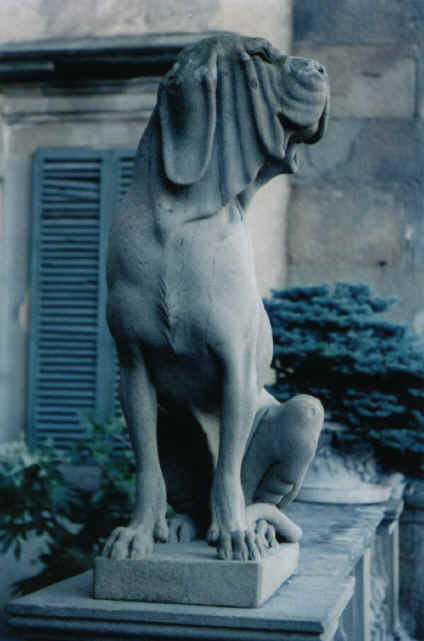 scultura cane