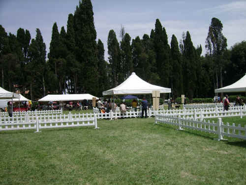 cacib di san marino 2006