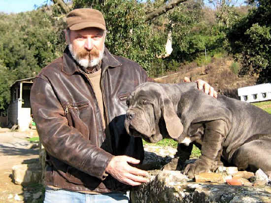 Massimo Vinattieri con una cucciola di Mastino Napoletano