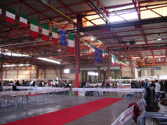 Expo ancona 2007