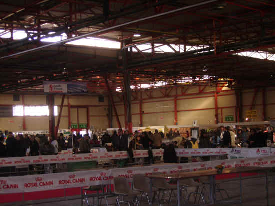 Expo ancona 2007