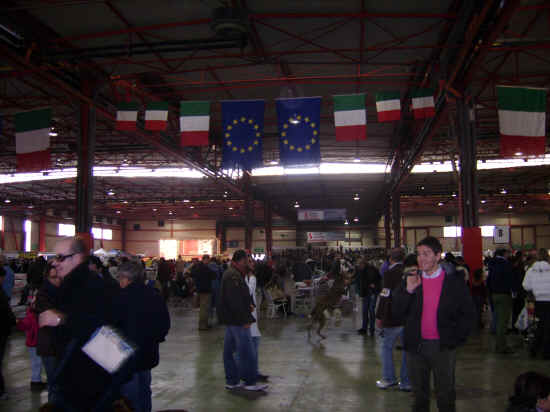 Expo ancona 2007