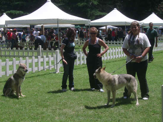 Esposizione internazionale di Orvieto 2007