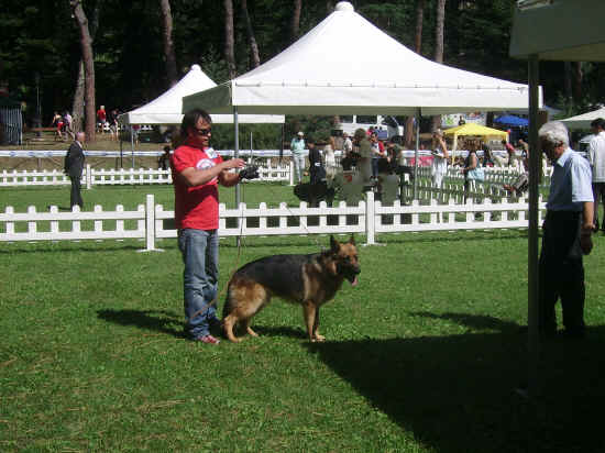 Esposizione internazionale di Orvieto 2007