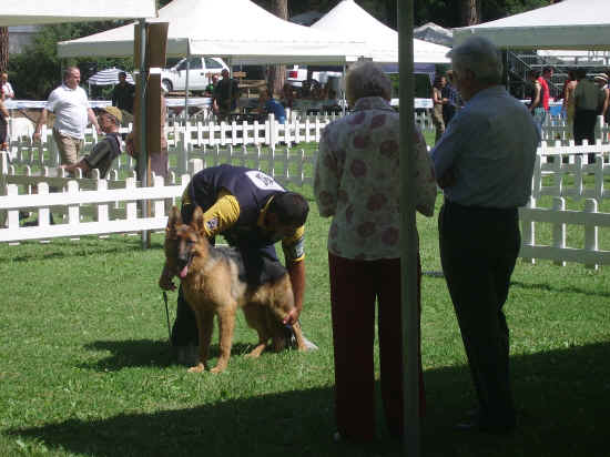 Esposizione internazionale di Orvieto 2007