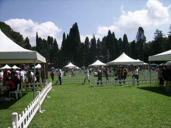 Esposizione internazionale di Orvieto 2007