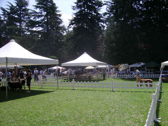 Esposizione internazionale di Orvieto 2007