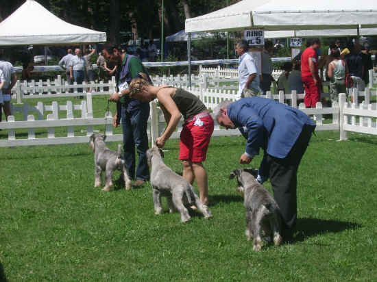 Esposizione internazionale di Orvieto 2007