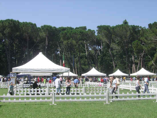 Esposizione internazionale di Orvieto 2007