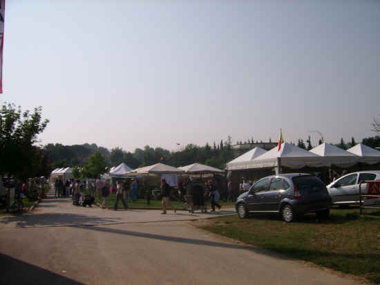 Esposizione canina di Poggibonsi 2007