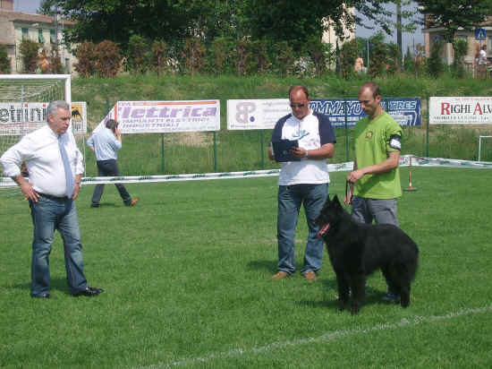 Esposizione canina di Poggibonsi 2007