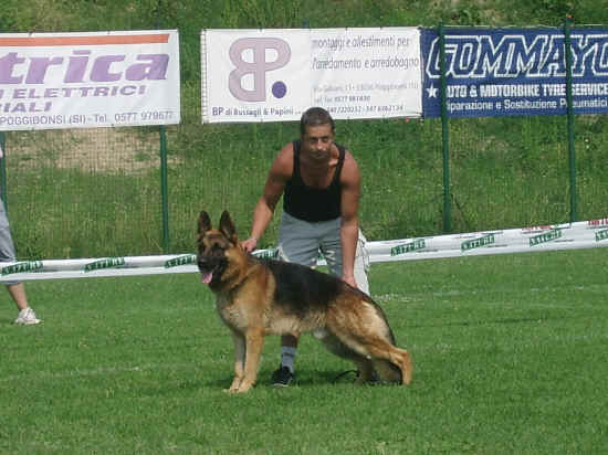 Esposizione canina di Poggibonsi 2007