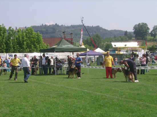 Esposizione canina di Poggibonsi 2007