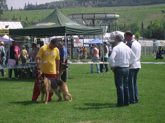 Esposizione canina di Poggibonsi 2007