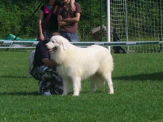 Esposizione canina di Poggibonsi 2007