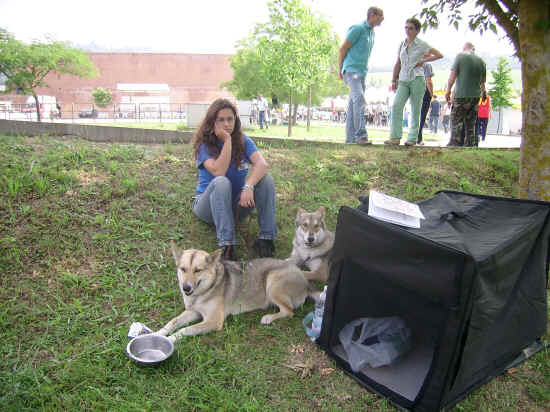 Esposizione canina di Poggibonsi 2007