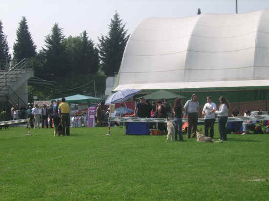 Esposizione canina di Poggibonsi 2007