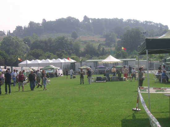 Esposizione canina di Poggibonsi 2007