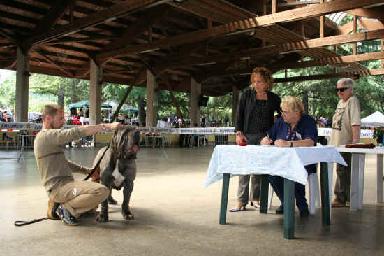 Nazionale di Bologna 2008