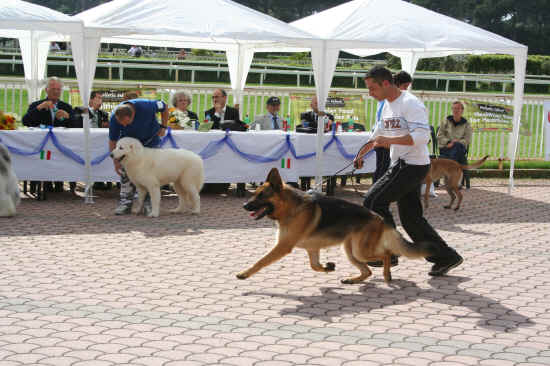 Esposizione Nazionale di Pisa 2008