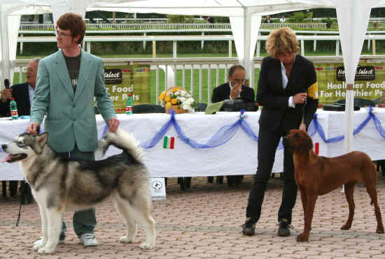 Esposizione Nazionale di Pisa 2008