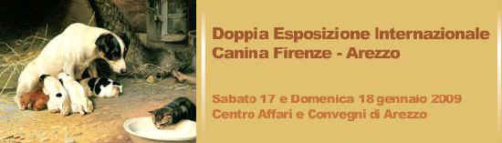 doppia expo Firenze - Arezzo