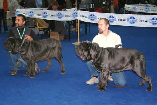 Esposizione Internazionale di Firenze 2009