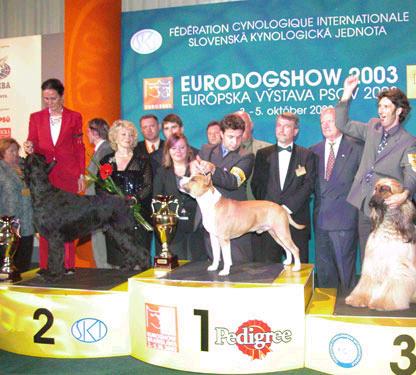 euro dog show 2003
