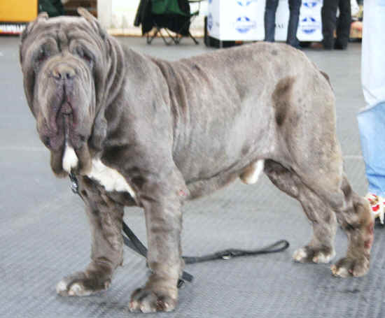 eolo