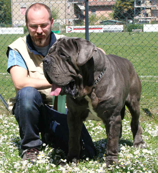 Orso dello Stradone Vesuviano