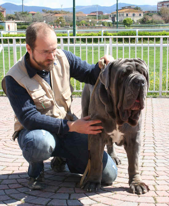 cacib lucca 2012