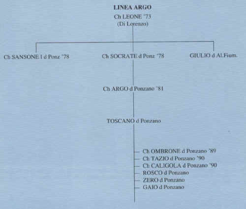 linea argo