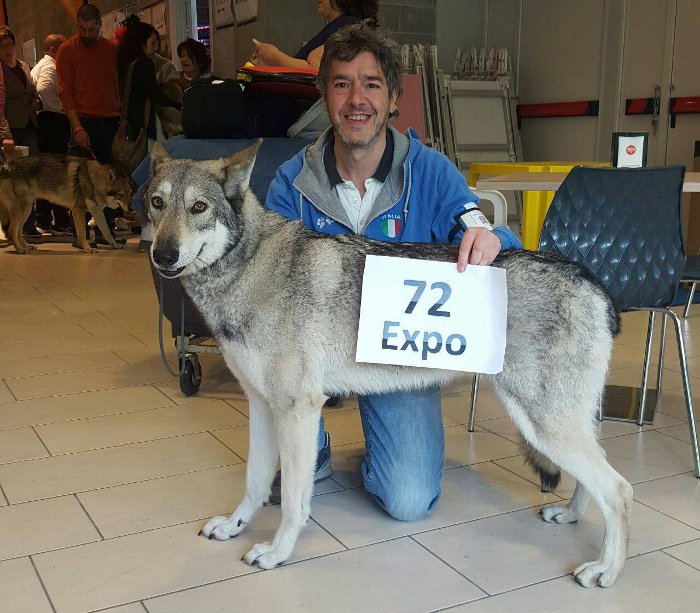 72 EXPO record