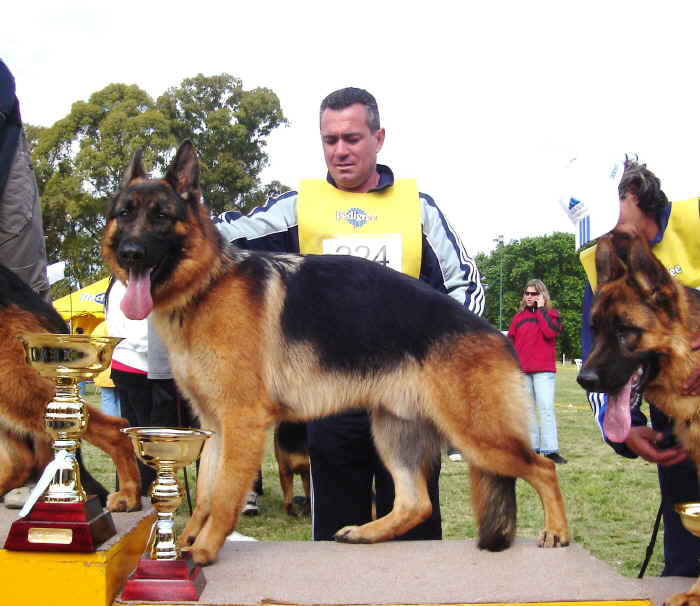 titano