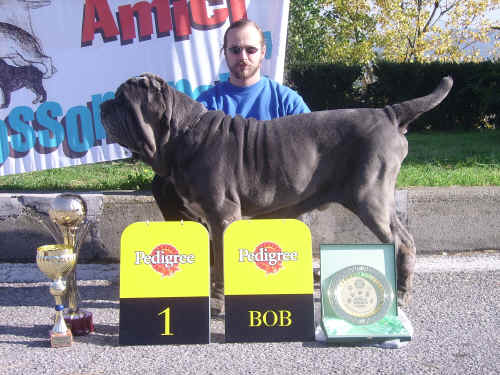 Campionato del mondo di Poznan 2006 - Polonia