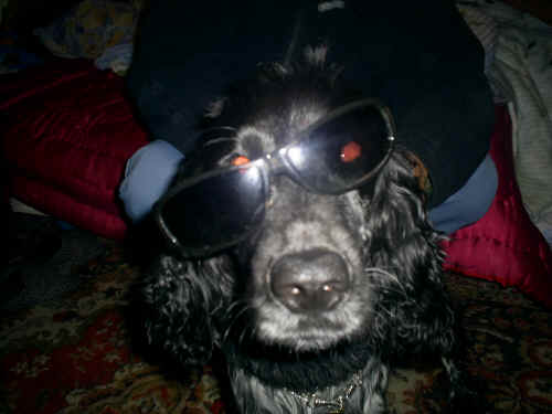 cuki