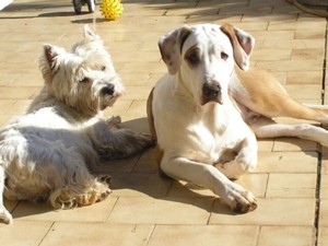 derek e gary
