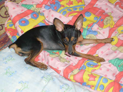 minù