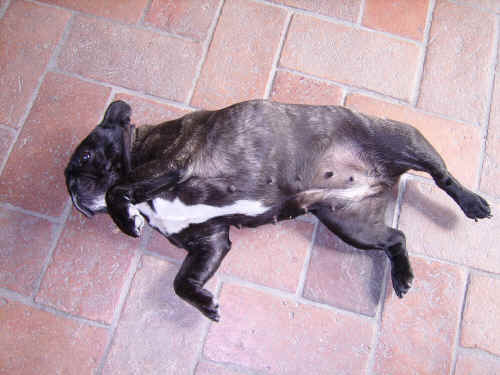 foto strane