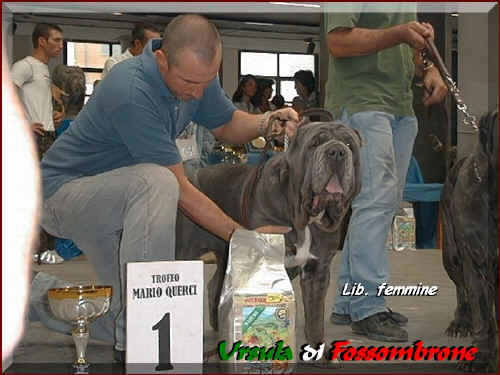 ursula di fossombrone