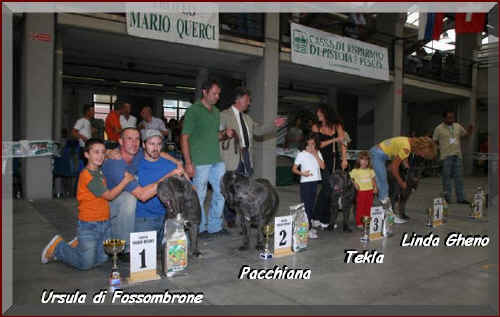classifica