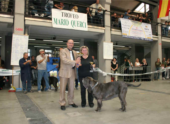 Trofeo Mario Querci 2007