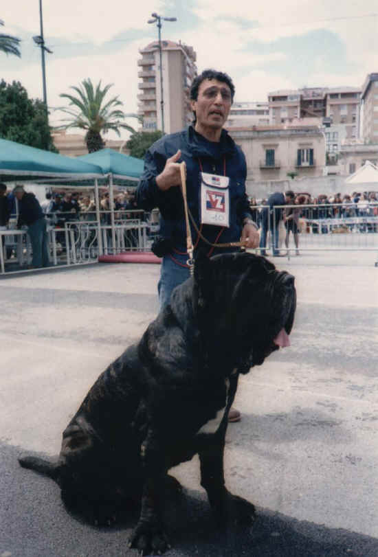 raduno di palermo