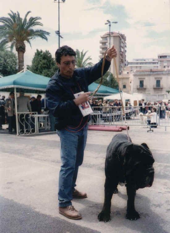 palermo 2002